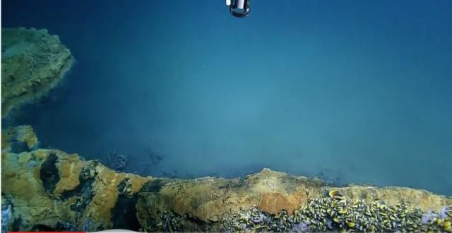 "Džakuzi smrti" na dnu okeana: Ubija sve što mu se približi